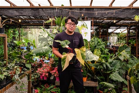 punggol plant nursery.